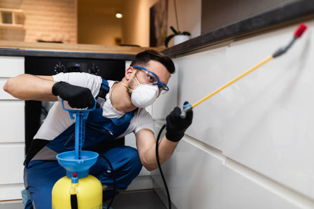 Best Affordable Exterminators  in Vancouver, WA