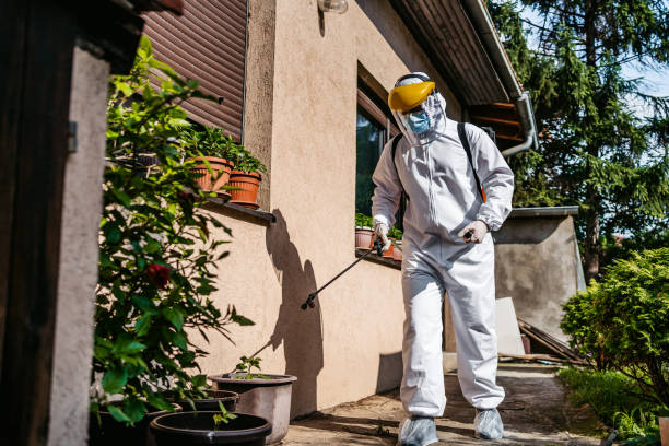 Best Rat Extermination Near Me  in Vancouver, WA