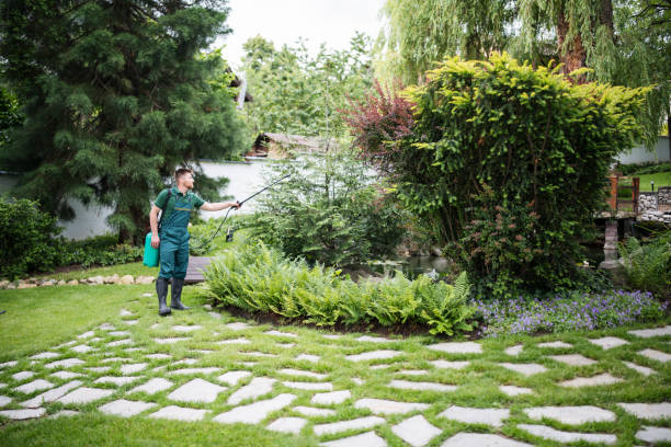 Professional Pest Control in Vancouver, WA