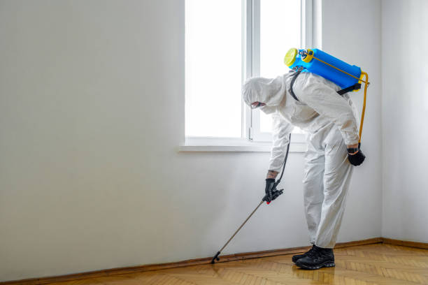 Best Affordable Pest Control Services  in Vancouver, WA
