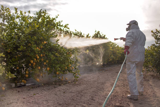 Best Best Pest Control Companies  in Vancouver, WA