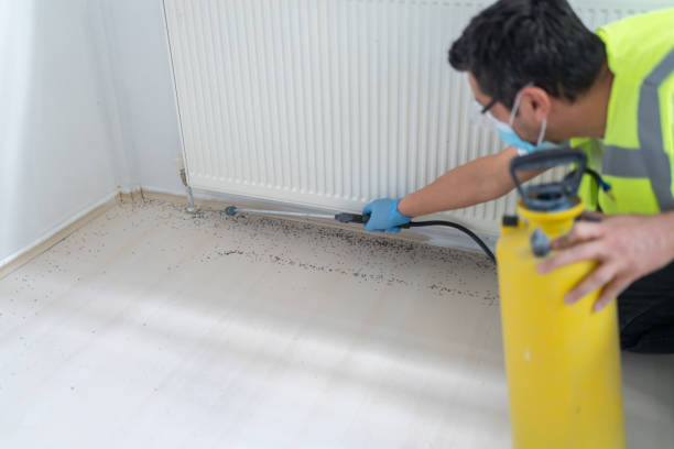 Best Emergency Pest Control  in Vancouver, WA